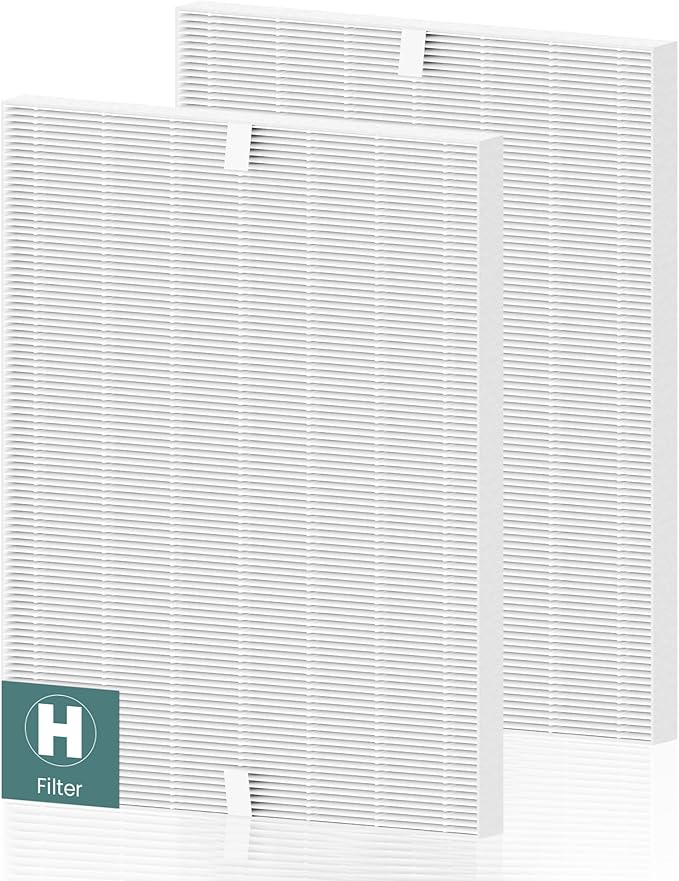 Funmit 116130 Replacement Filter H for Winix 5500-2 AM80 Plasmawave Air Purifier, Includes 2 Pack Filter