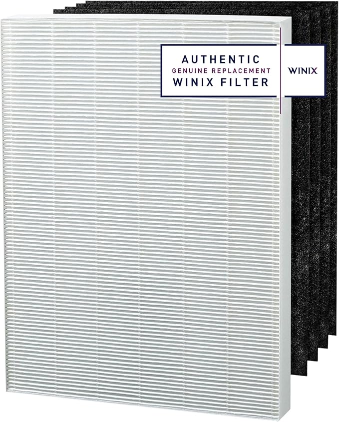 Genuine Winix 113250 Replacement Filter E for P450, White/Black