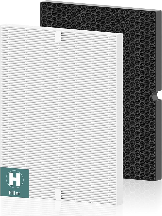 116130 Replacement Filter H for Winix 5500-2 AM80 Plasmawave Air Purifier, Includes 1 Pack Filter H and 1 Pack Activated Carbon Filter