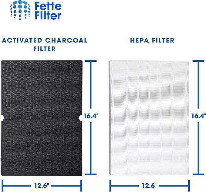 Fette Filter - Replacement Filter Compatible with Winix 116130 Filter H for Winix Air Purifier Model # 5500-2 & AM80. Combo pack.