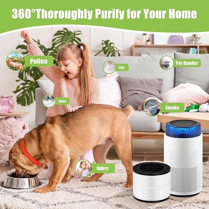 Airmega 100 Filter Replacement Compatible with Coway Airmega 100 Air Purifier, 3-in-1 True Hepa and Deodorization Filter