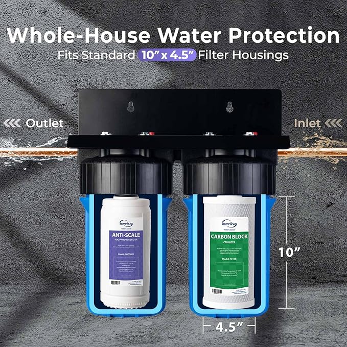 iSpring F2WGB21BDS Whole House 4.5"x10" Water Filtration CTO Carbon Block and Anti-Scale Polyfilter Water Filter Replacement Cartridge Pack Set for WGB21B-DS