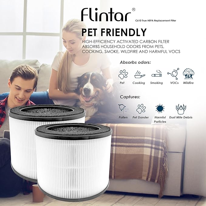 Flintar HEPA Replacement Filter, only Compatible with Coway Airmega 100 Air Purifier, 3-in-1 Pre-filter, H13 True HEPA and Deodorization Filter Set (2- Pack)