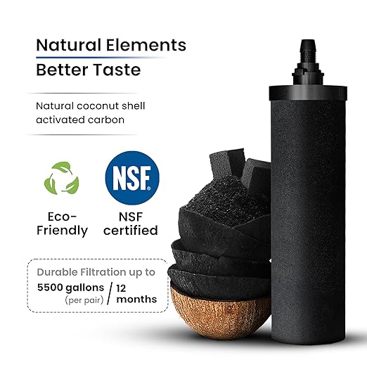 Phoenix Gravity - 4.25 Gallon Water Filter System AISI 304 Stainless Steel Gravity Fed Water Filter System, NSF Certified 2 Carbon Filter Elements & Free Stainless Steel Water Spigot