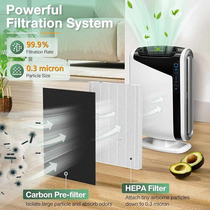 AeraMax 300 Hepa Filter Set Compatible with Fellowes AeraMax 290/300/DX95 Air Purifiers, HF-300/AP-300PH, Part# 9287201, Includes 2 Hepa Filters + 6 Activated Carbon Pre-filters