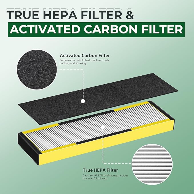 CHIVALZ FLT4825 Filter B Replacement for FLT4825 HEPA Replacement Filter, Compatible with Air Purifier AC4825 AC4300 AC4800 AC4900 AC4850, 2 Hepa Filters + 8 Carbon Filters, 2 Pack