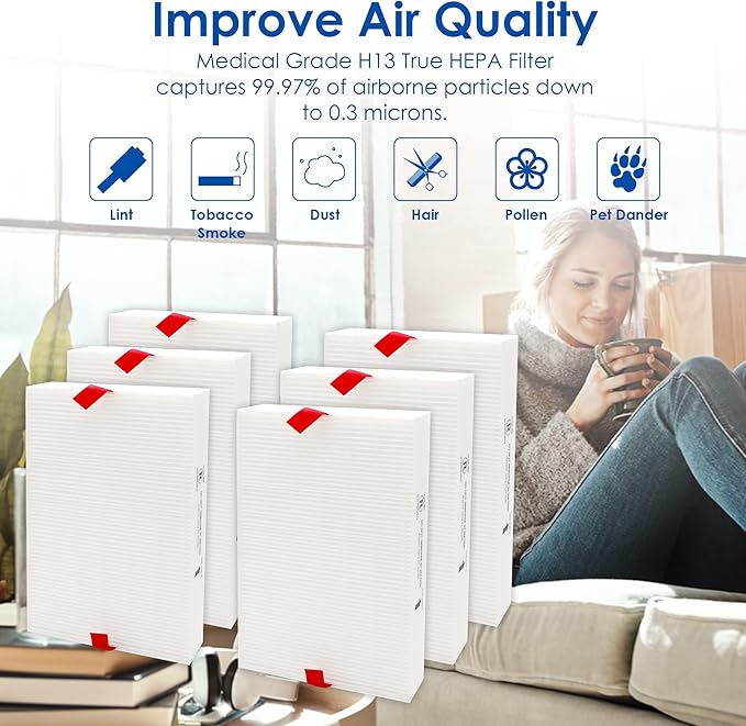 Flintar Replacement Filter R, Compatible with Honeywell Air Purifier HPA300, HPA200, HPA 100 and HPA 5000 Series, HRF-R6, 6-Pack