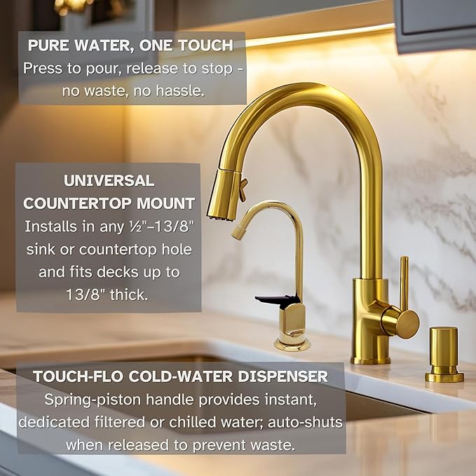 Westbrass D203-NL-01 6" Touch-Flo Style Pure Cold Water Dispenser Faucet, 1 Pack, Polished Brass