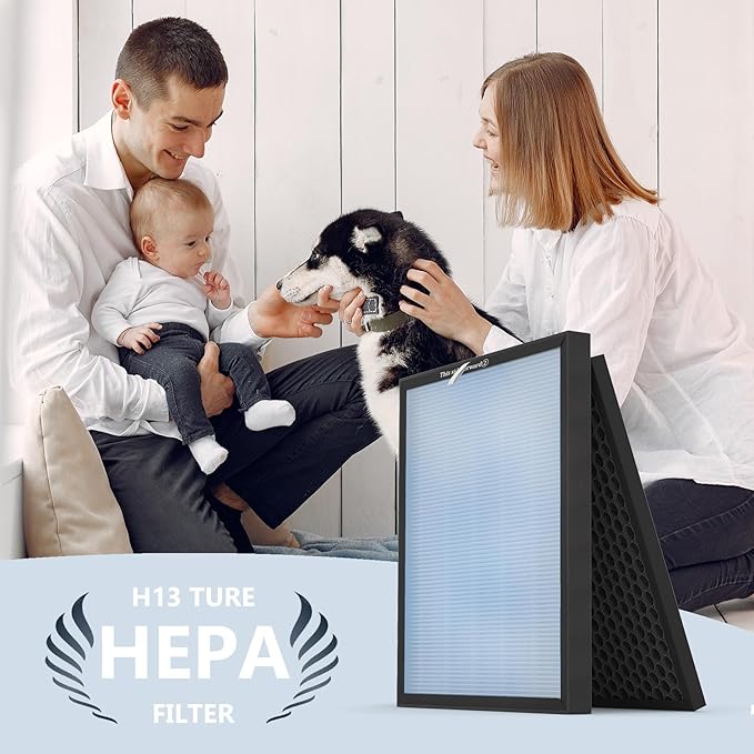 3 Sets HSP001 H13 True Hepa Replacement Filters, Compatible with HATHASPACE Air Purifier, 4 in 2 | True H13 HEPA Filter with Activated Carbon Pre-Filter.