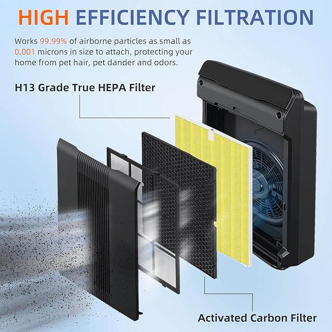 116131 Replacement Filter I for Winix C555 5500-2 Am80 Plasmawave Air Purifier True HEPA Carbon Filter,2 Set