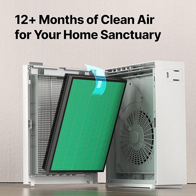 Coway Airmega 150 Genuine Air Purifier Replacement Filter Set, HEPA Filter and Active Carbon Filter, AP-1019C-FP