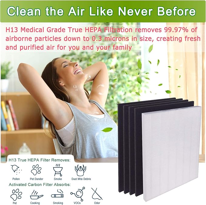 Flintar D480 Filter D4, Compatible with Winix D480 Air Purifier, H13 Grade Filtration and 4 Activated Carbon Filters, Item Number 1712-0100-02, D4-Filter