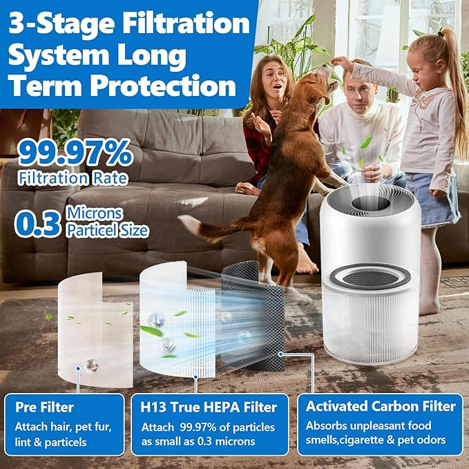 Core 300 Replacement Filter for LEVOIT Core 300 Core 300-P Core 300S Air Purifier 3-in-1 H13 True HEPA Activated Carbon, Compare to Part No. Core 300-RF, 2 Pack, White