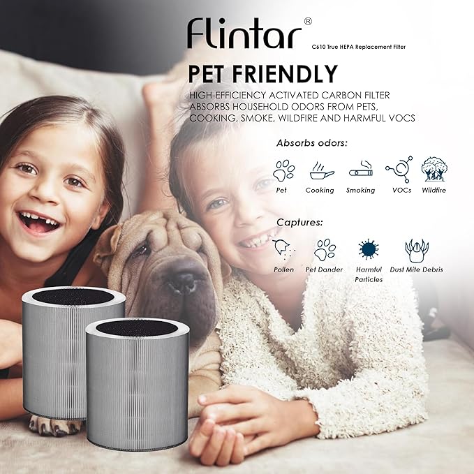 Flintar C610 Replacement Filter Z, Made in Taiwan, Compatible with Winix C610 Air Purifier, 1712-0121-00, 3-in-1 H13 True HEPA with Activated Carbon and Pre-Filter, 2-Pack