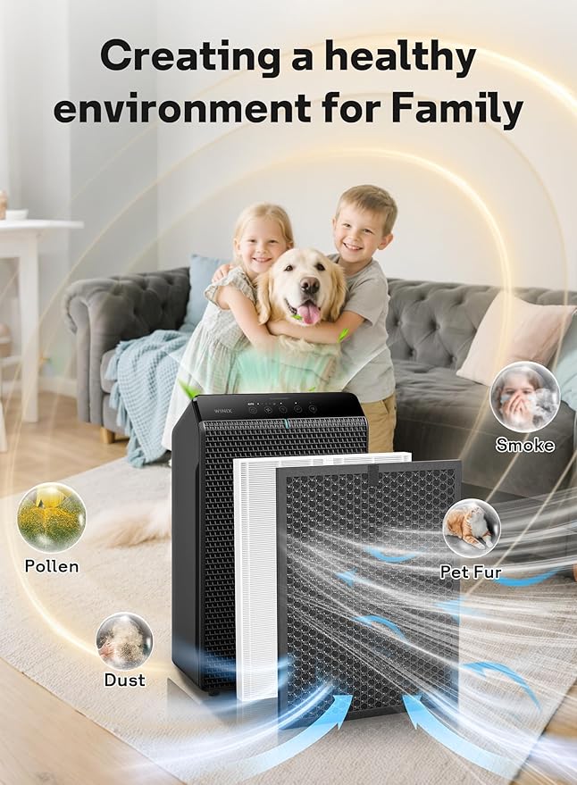 Leemone 5510 5520 Replacement Filter Q Compatible with Winix 5510,5520 Air Purifier,2 x HEPA + 2 x Activated Carbon Combo for Dust Pollen Pet Smoke, Part# 1712-0123-00 For Large Room 1882 Ft²/Hr