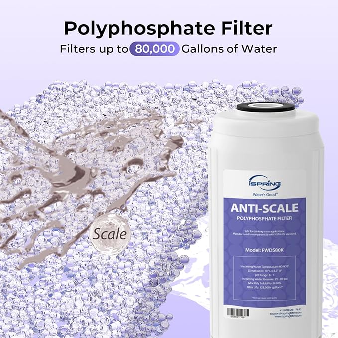 iSpring F3WGB31BDS Anti-Scale Whole House Water Filter Replacement Pack, Reduces up to 99% Chlorine, Scale, Odor, and Sediments, Up to 12 Months, 4.5” x 10”, Fits WGB31B-DS