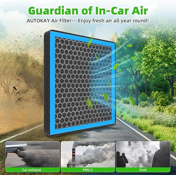 AUTOKAY Cabin Air Filter With Activated Carbon Fits for Hyundai Elantra N Santa Fe Cruz Sonata Ioniq 5 6 for Kia Sorento Sportage K5 EV6 EV9 Niro for Genesis GV60 RE# 97133-L1000 97133-N9100 CAF10079P