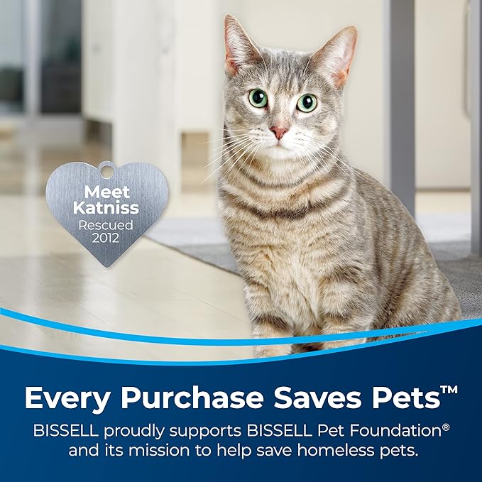 Bissell Pet Stain & Odor plus Antibacterial 2 in 1 Carpet Formula,(Pack of 2)
