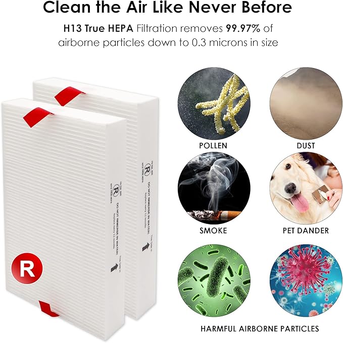 Flintar Replacement Filter R, Compatible with Honeywell Air Purifier HPA300, HPA200, HPA 100 and HPA 5000 Series, HRF-R2, 2-Pack