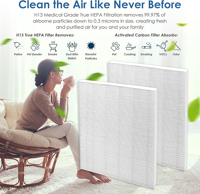 Flintar 115115 Filter A, Made in Taiwan, Compatible with Winix Air Purifier C535, C909, 5300, 6300, P300, H13 Grade Replacement Filters, 2-Pack