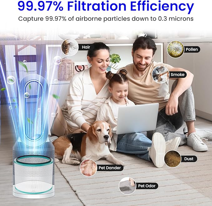 Future Way 2-Pack HP01 HP02 Filter Replacement Kit Compatible with Dyson HP01/HP02/DP01 Air Purifier, H13 True HEPA Air Purifier Filter