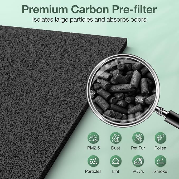 AeraMax 300 Hepa Filter Set Compatible with Fellowes AeraMax 290/300/DX95 Air Purifiers, HF-300/AP-300PH, Part# 9287201, Includes 2 Hepa Filters + 6 Activated Carbon Pre-filters