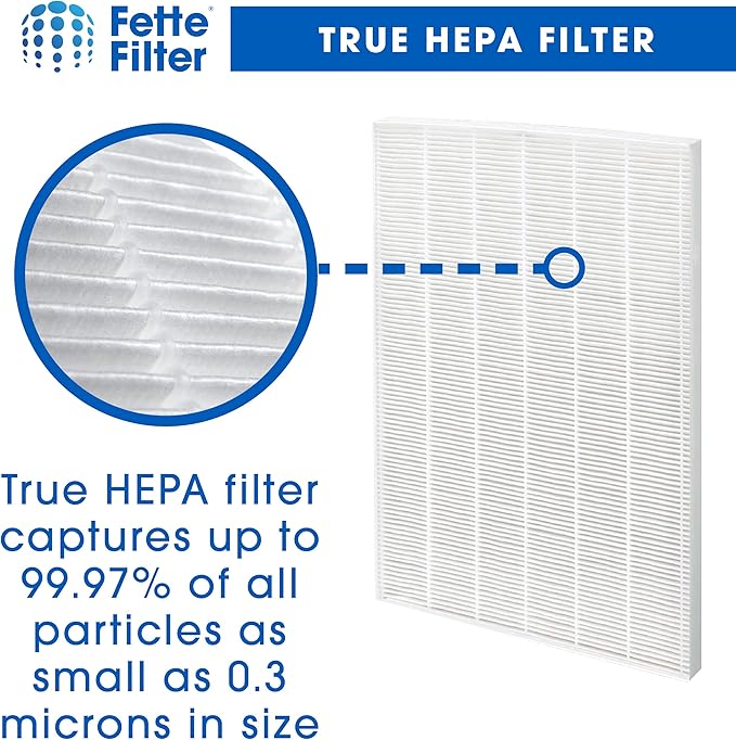 Fette Filter - D480 Premium True Hepa H13 Replacement Filter D4 Compatible with Winix D480 Air Purifier Part Number 1712-0100-02, 1712010002. 2 True Hepa and 8 Activated Carbon Filter
