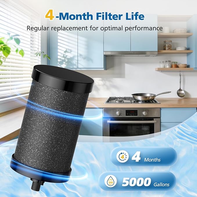 2387 Pro Filter Replacement, NSF Certified for Alexapure 2387 Pro Water Filter, 5,000 Gallon Throughput Capacity Compatible with Alexapure Pro Water Filtration System, 2 Pack Black