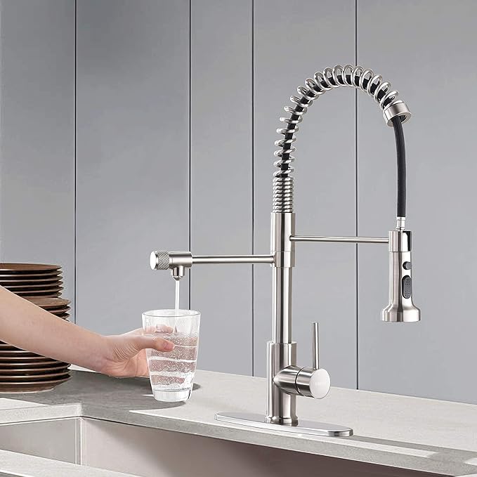Kitchen Sink Faucet, Pull-Down Water Filtration Faucet, Bar Filter, Brushed Nickel, Stainless Steel, PB1017