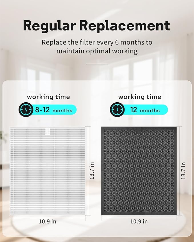 Leemone 5510 5520 Replacement Filter Q Compatible with Winix 5510,5520 Air Purifier,2 x HEPA + 2 x Activated Carbon Combo for Dust Pollen Pet Smoke, Part# 1712-0123-00 For Large Room 1882 Ft²/Hr