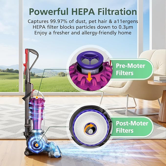 Filters Replacement for Dyson DC41 DC65 DC66 UP13 UP20 UP30 Animal, Multi Floor and Ball Vacuum Ball Animal 2 Ball Animal 3, 2 Pack Post Filters & 2 Pack Pre Filter Replacement Parts