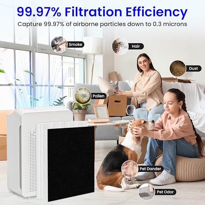 Future Way 2-Pack C545 Replacement Filter S Kit Compatible with Winix C545 Air Purifier, 2 H13 True HEPA Filter + 8 Activated Carbon Filters, Replace 1712-0096-00