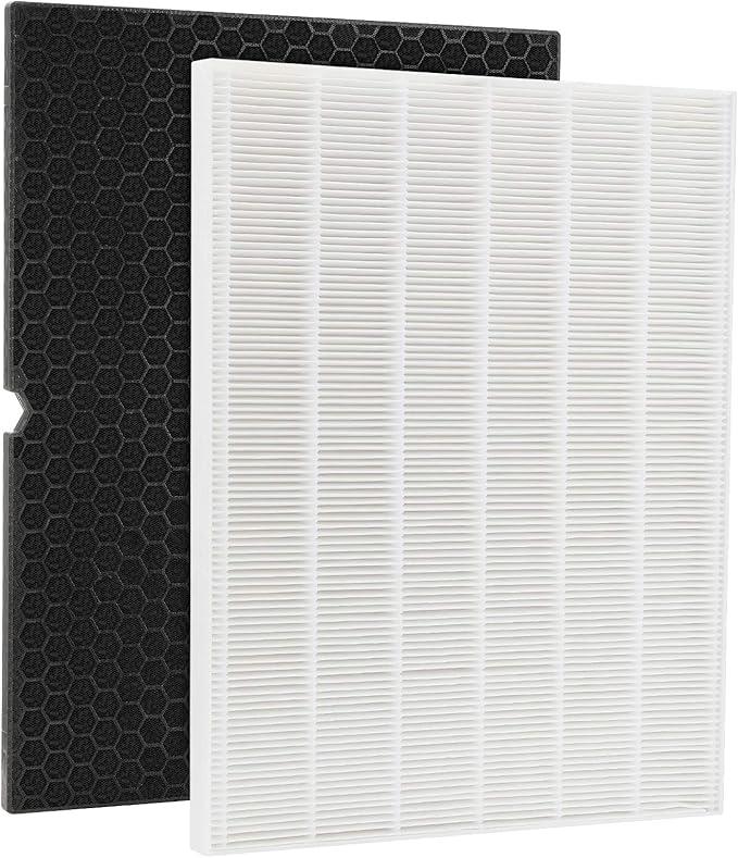 2 + 2 116130 HEPA Replacement Filter H 116130 for Winix 5500-2 Plasmawave Air Purifier and Models AM80 - HEPA Filter and Activated Carbon Filter Combo Pack