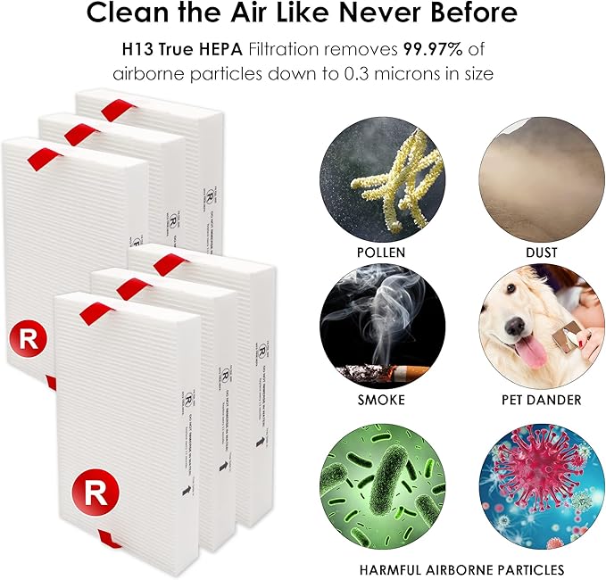 Flintar Replacement Filter R, Compatible with Honeywell Air Purifier HPA300, HPA200, HPA 100 and HPA 5000 Series, HRF-R6, 6-Pack