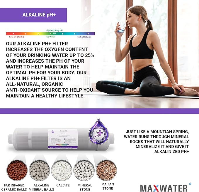(2 Pack) Ph+ Alkaline, Mineral, Far infrared 5 in 1 Max Water filter, compatible with most pH Reverse Osmosis Water Filtration Systems