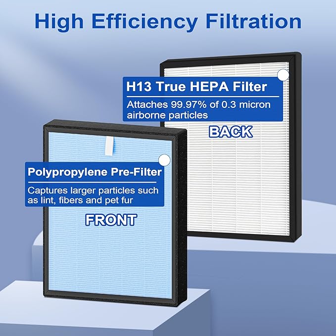 HSP001 Replacement Filter Compatible with Hathaspace Air Purifier, 4-in-2 Filtration with H13 True HEPA Filter, Activated Carbon and Pre-Filter (2 Pack)