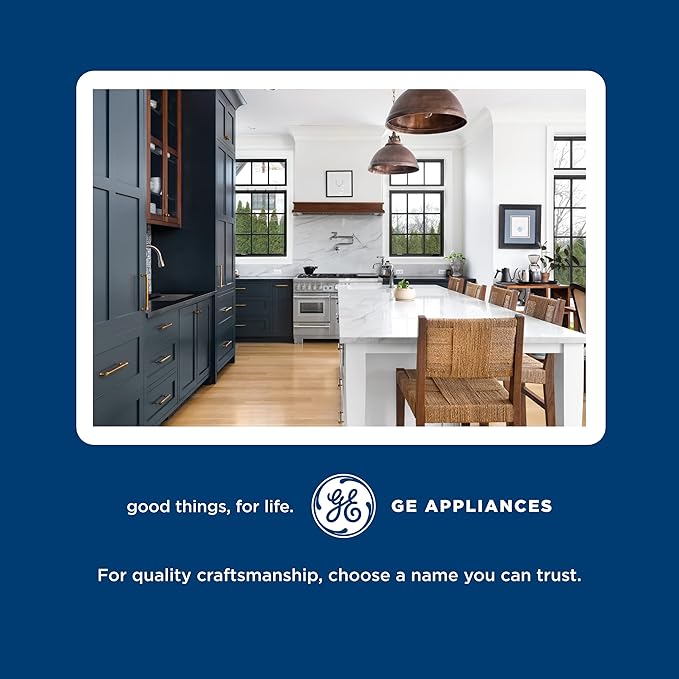 GE Appliances WD12X10109 Dishwasher Filter