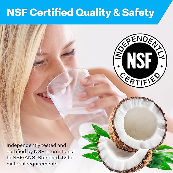 SpiroPure SP-CBR2-20 20x2.5 0.5 Micron NSF Certified Coconut Shell Carbon Block Water Filter Cartridge CBC-20 155309-43 SMCB-2520 (Case of 6)