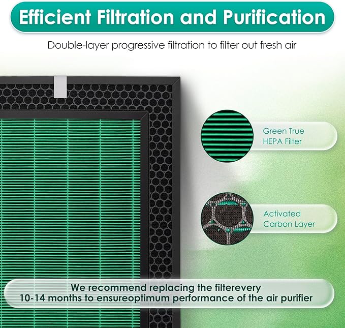 2 Pack 250 250S Replacement Filter Set for Coway Aiemega Max2 250, 250S Smart Air Purifier, Max 2 Green Filter, H13 True and Active Carbon Filters, 2 Set, AP-1720-FP