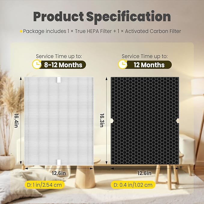 116130 Replacement Filter H for Winix 5500-2 AM80 Plasmawave Air Purifier, Includes 1 Pack Filter H and 1 Pack Activated Carbon Filter