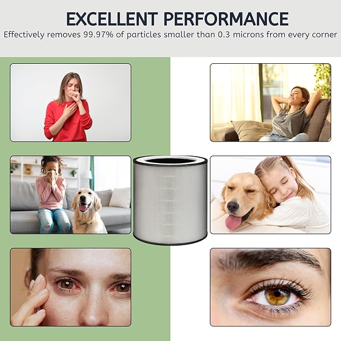 Nispira C610 Replacement Filter Z for Winix C610 Air Purifier 1712-0121-00 H13 Grade True HEPA with Activated Carbon, 1 Pack