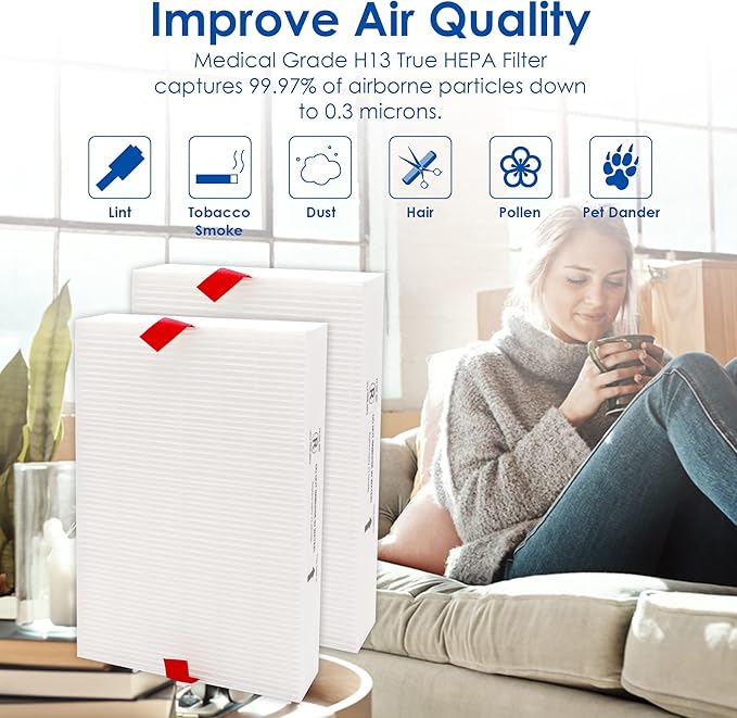 Flintar Replacement Filter R, Compatible with Honeywell Air Purifier HPA300, HPA200, HPA 100 and HPA 5000 Series, HRF-R2, 2-Pack