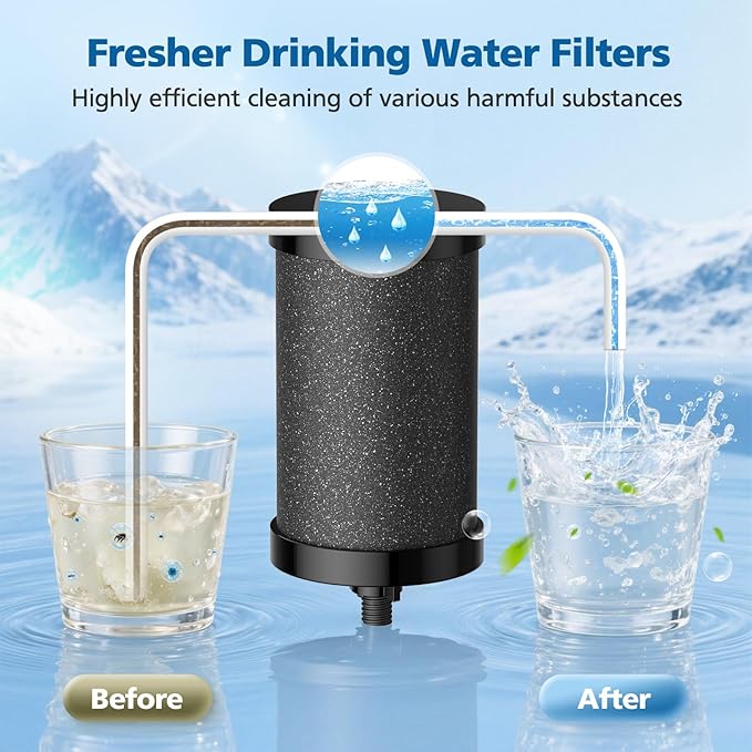 2387 Pro Filter Replacement, NSF Certified for Alexapure 2387 Pro Water Filter, 5,000 Gallon Throughput Capacity Compatible with Alexapure Pro Water Filtration System, 2 Pack Black