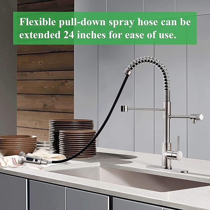 Kitchen Sink Faucet, Pull-Down Water Filtration Faucet, Bar Filter, Brushed Nickel, Stainless Steel, PB1017