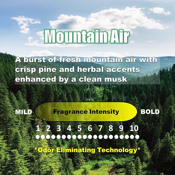 Vacuum Stix, Vacuum Deodorizer & Air Freshener Sticks for All Vacuums, Long-Lasting Vacuum Cleaner Deodorizer, Non-Toxic, Made in USA (1-Pack (4 Stix), Mountain Air)