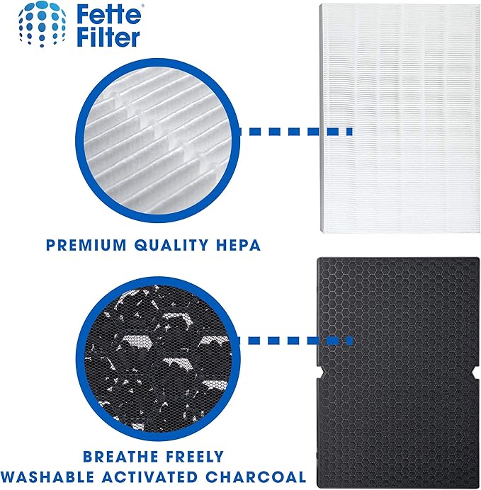 Fette Filter - Replacement Filter Compatible with Winix 116130 Filter H for Winix Air Purifier Model # 5500-2 & AM80. Combo pack.